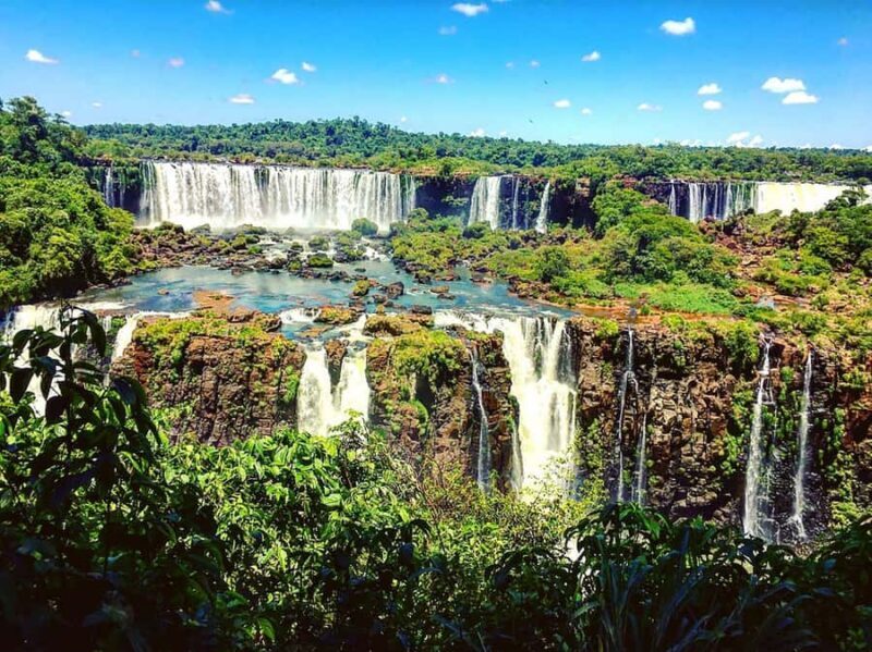 Guided Tour of the Brazilian Falls and Bird Park - Who Will Love This Tour?
