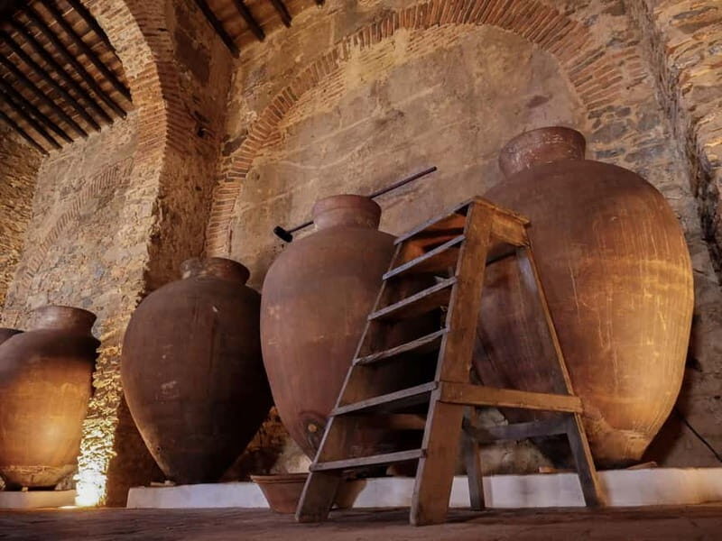 Guided tour of the Cella Vinaria Antiqua Wine Cellar Museum - Key Points