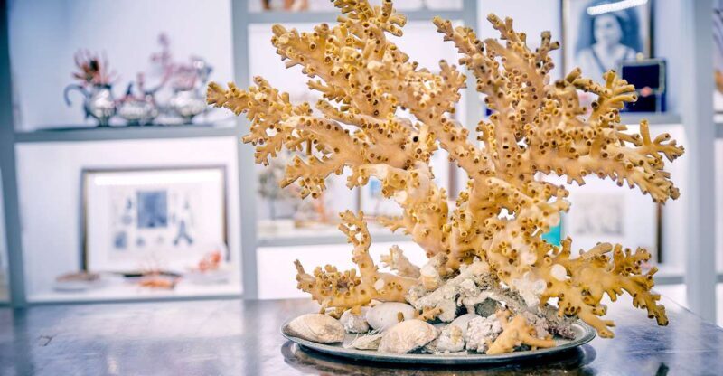 Guided tour of the coral museum in Sciacca - Who will love this tour?