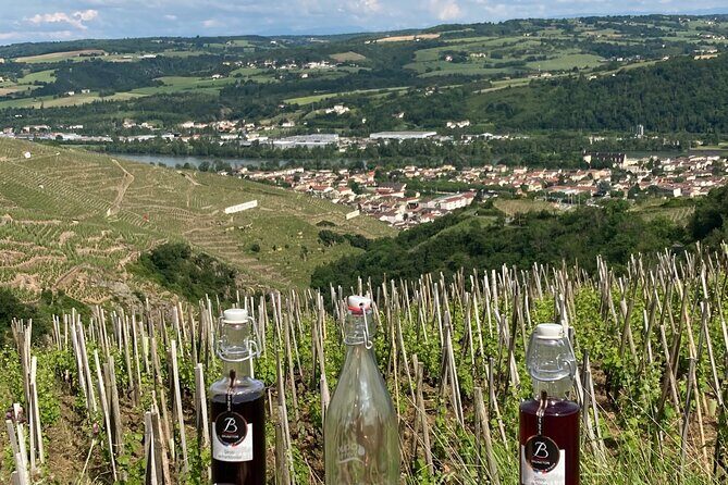 Guided Tour of the Coteaux Côte Rôtie for Parents and Children Duos - A Detailed Look at the Tour Experience