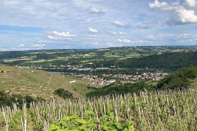 Guided Tour of the Coteaux Côte Rôtie for Parents and Children Duos - Practical Details and Value