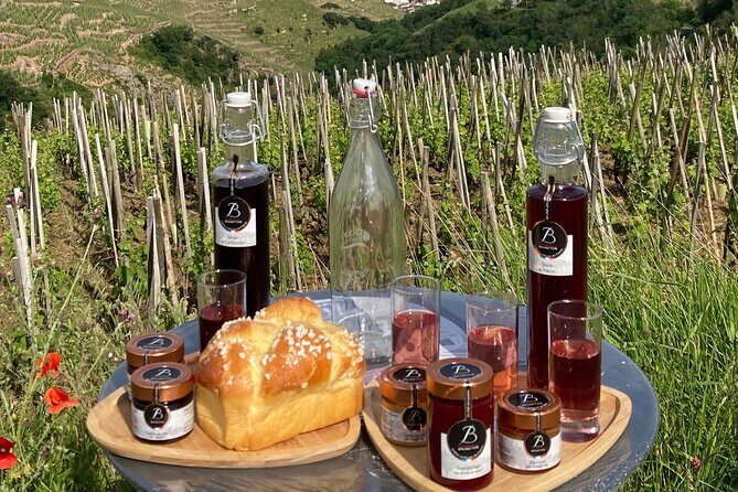 Guided Tour of the Coteaux Côte Rôtie for Parents and Children Duos - FAQs