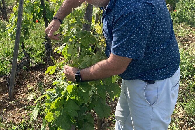 Guided Tour of the Coteaux Côte Rôtie for Parents and Children Duos - Final Thoughts