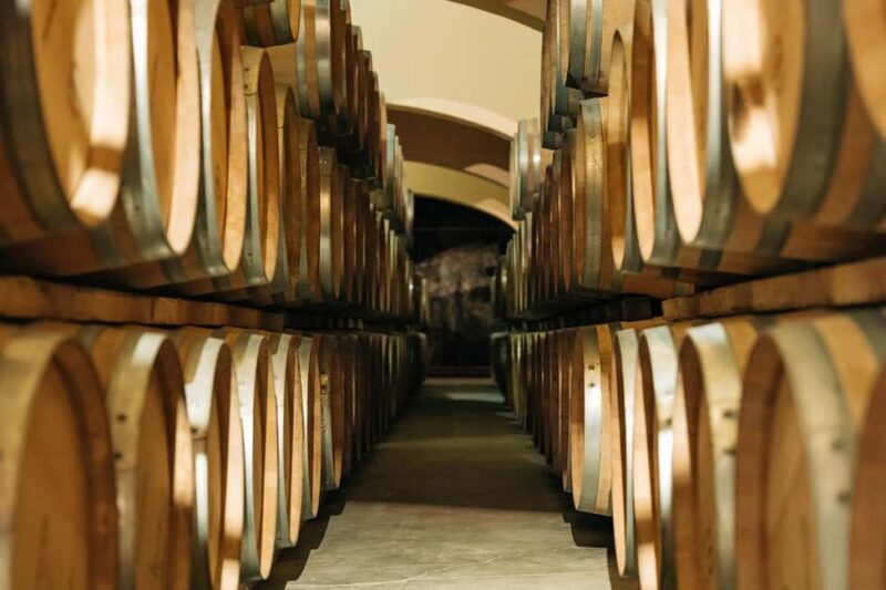Guided Tour of the Estate & Tasting of 4 wines - Authenticity and Overall Value