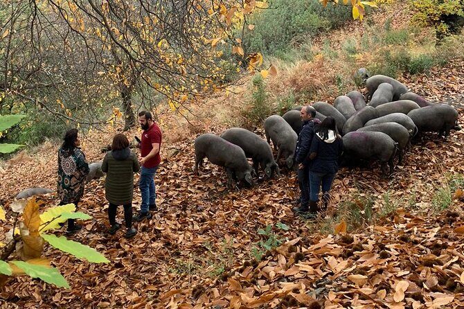 Guided Tour of the Genal Valley - FAQ