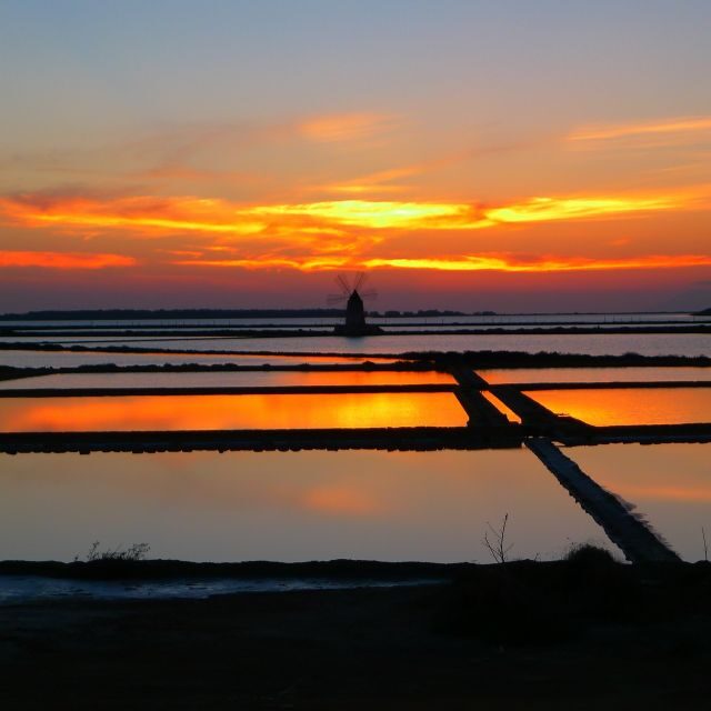 Guided tour of the Marsala Salt Pans and salt harvesting - Final Thoughts