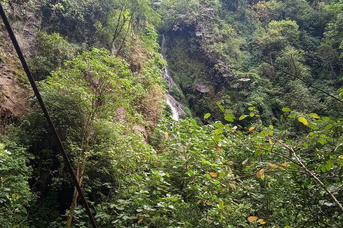 Guided Tour of the Monteverde Cloud Forest - The Sum Up