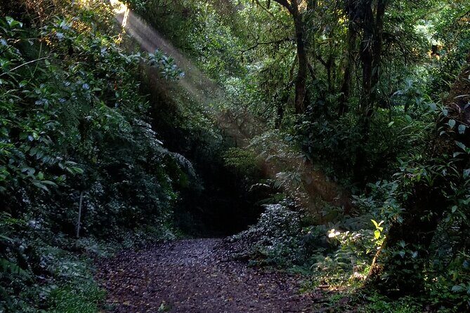 Guided Tour of the Monteverde Cloud Forest - FAQ
