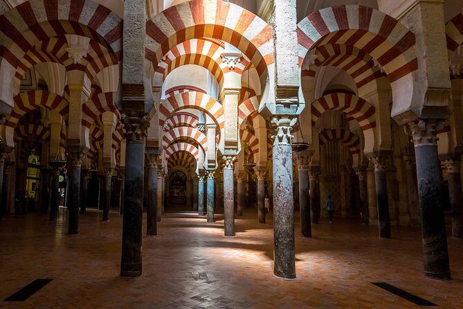 Guided tour of the Mosque with entrance included - Key Points