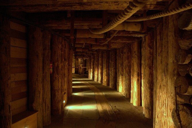 Guided Tour of the Wieliczka Salt Mine and Transfer from Krakow - Who Would Enjoy This Tour?