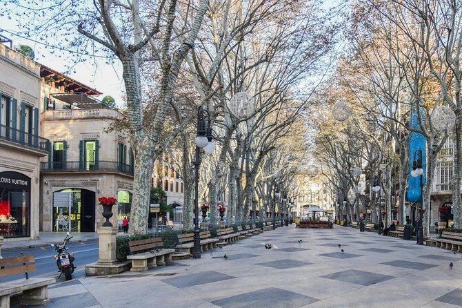 Guided Tour: Palma Old town and Cathedral Visit - In-Depth Review: What Makes This Tour Worth Your While
