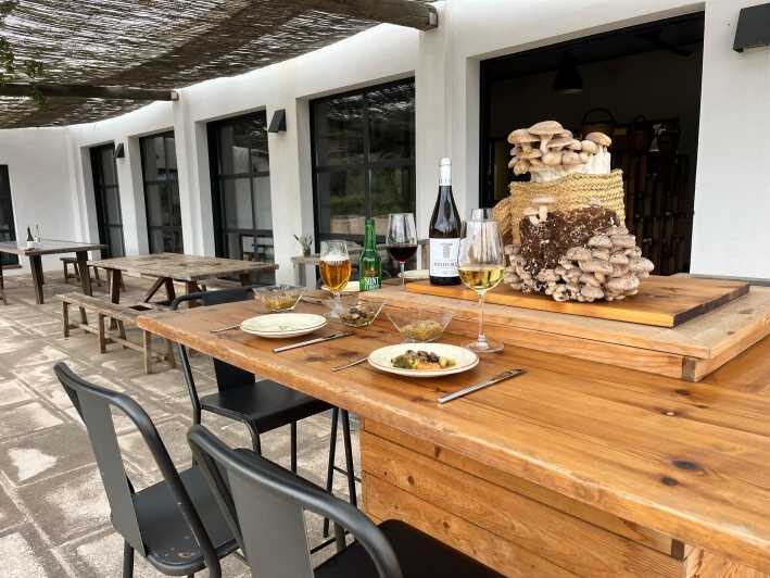 GUIDED TOUR + TASTE IN A MUSHROOM FARM - Exploring Menorca’s Mushroom Farm: What to Expect