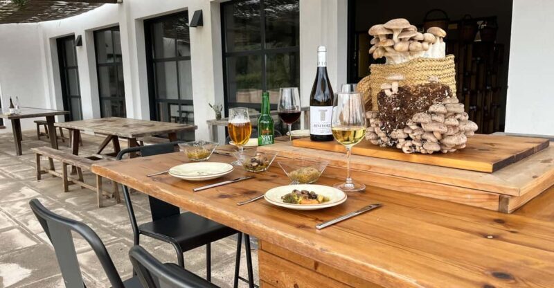 GUIDED TOUR + TASTE IN A MUSHROOM FARM - Who Will Love This Tour?