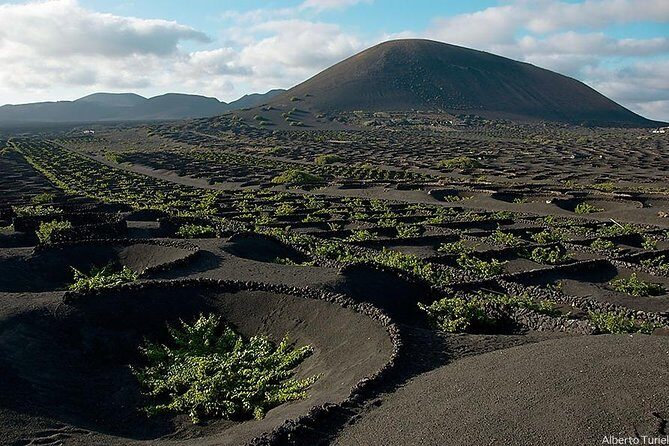 Guided tour: Timanfaya National Park and La Geria with pick-up - Lanzarote’s Volcanic Beauty and Wine: A Guided Tour to Remember