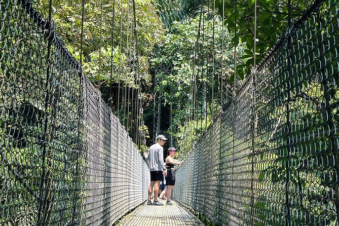 Guided Tour to Arenal Mistico Hanging Bridges with Transfer - In-Depth Review of the Arenal Mistico Hanging Bridges Tour