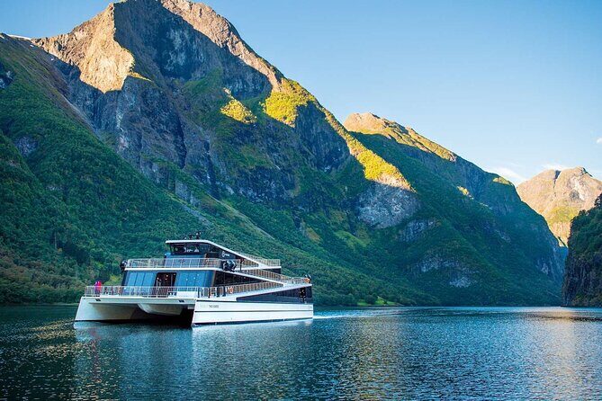 Guided Tour To Nærøyfjorden, Flåm And Stegastein - Viewpoint Cruise - Possible Drawbacks and Considerations