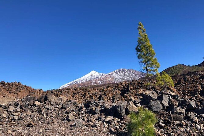 Guided Tour to Teide National Park in Tenerife - Discover the Wonders of Teide National Park with a Guided Tour in Tenerife
