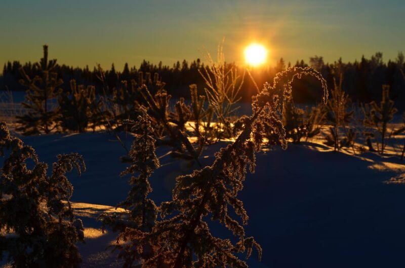 Guided Tour to the Ajtte Mountain and Sámi museum - Who Will Benefit Most from This Tour?