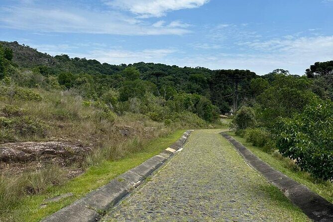 Guided tour to the Canyon of Guartelá - The Sum Up