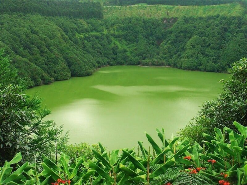 Guided Tour to the green & blue Lake of Sete Cidades - The Experience: A Deep Dive into the Tour Itinerary