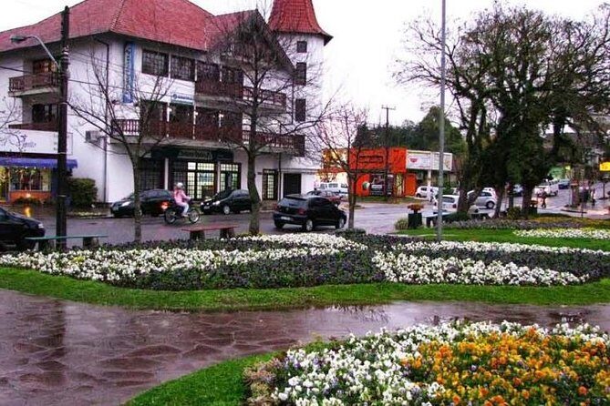 Guided Tour to the Imperial Cida of Petrópolis with Lunch - Who Should Book This Tour?