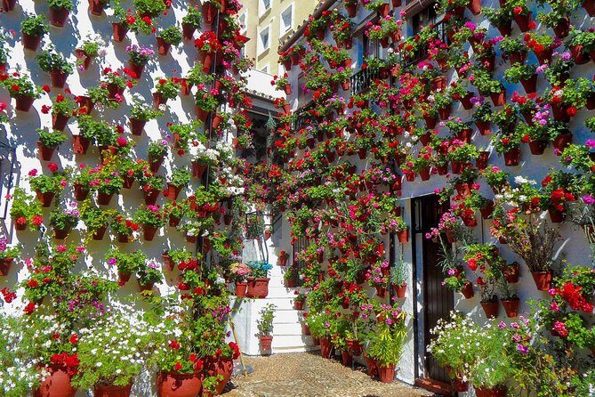 Guided Tour to the Popular Patios of Cordoba - Exploring the Patios of Córdoba: An In-Depth Review