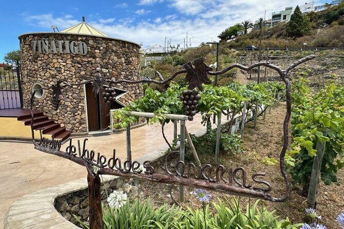 Guided Tour with 6 Wine Tasting - Key Points