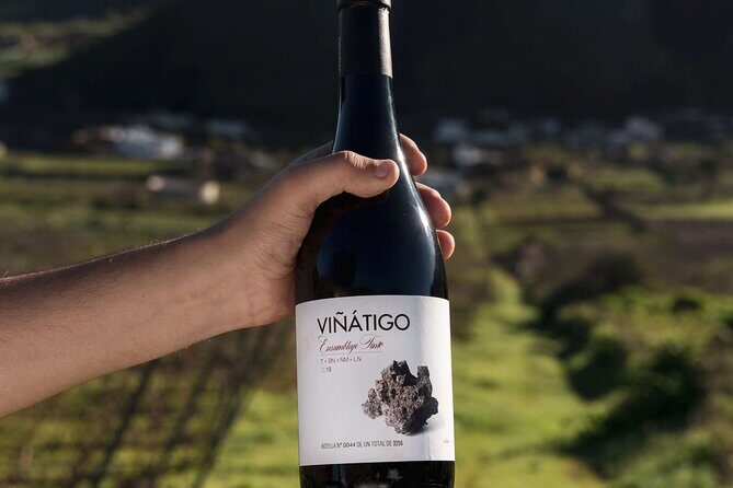Guided Tour with 6 Wine Tasting - Authenticity and Reviews: What Travelers Say