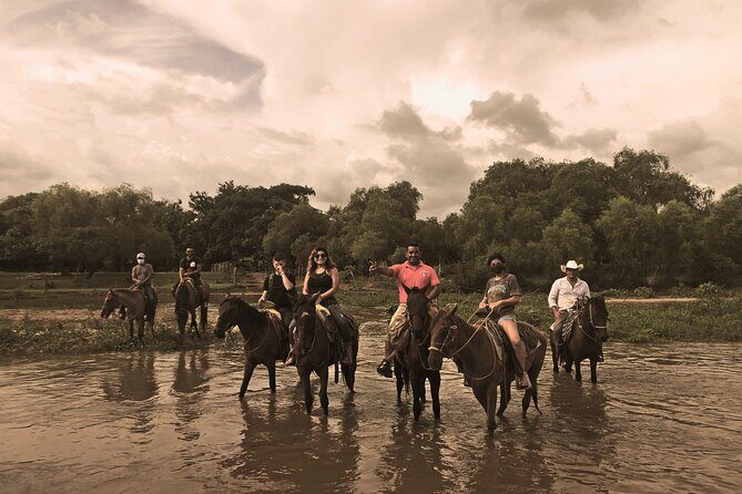 Guided Tour with Horseback Riding and Bioluminescence in Puerto Escondido - Bioluminescence in Manialtepec Lagoon