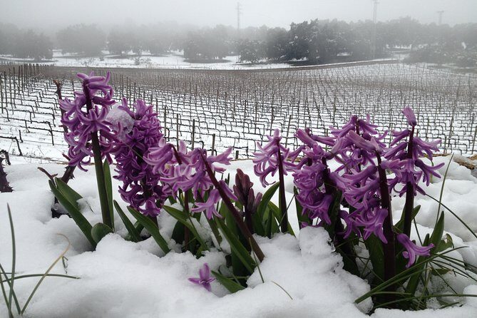 Guided tour with tasting - Who Should Book This Tour?