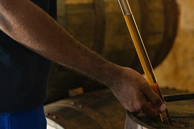 Guided tour with tasting of the Distillery Bonne Mère - The Full Experience at Distillerie Bonne Mère