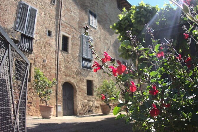 Guided tour with wine tasting and local organic products - Final Thoughts