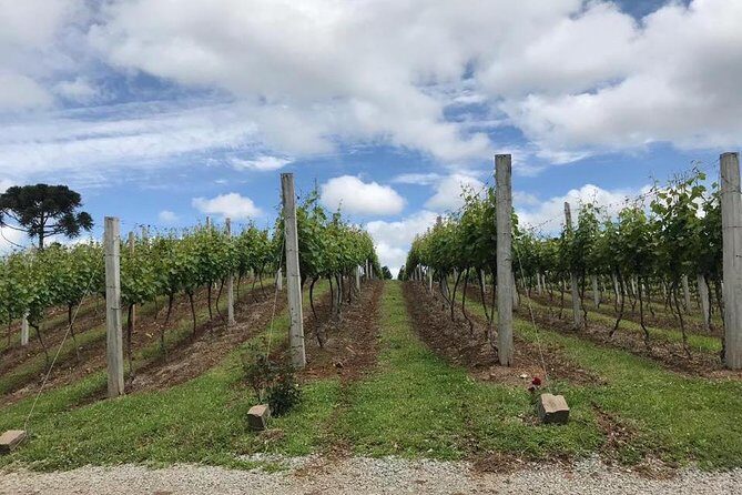 Guided Tour with Wine Tasting at Casa Seganfredo - Gramado - Final Thoughts: Is It Worth It?