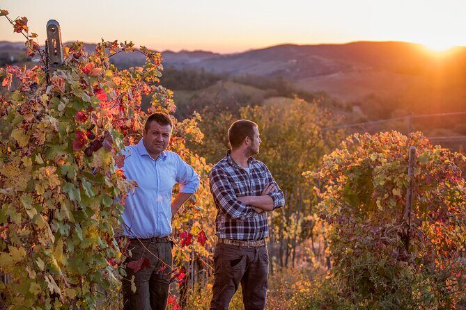 Guided tour with wine tasting - Why This Tour Offers Great Value