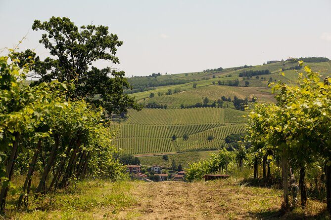 Guided tour with wine tasting - Who Should Consider This Tour?