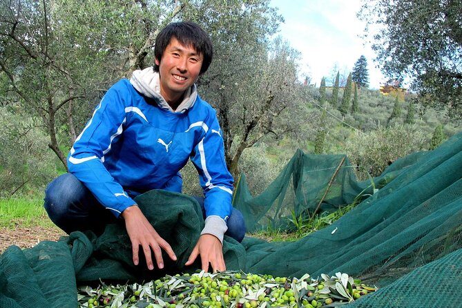Guided tours of the olive grove with oil tasting. - FAQs
