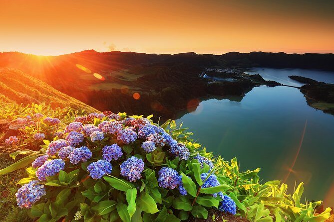 Guided Tours Sete Cidades and Lagoa do Fogo Full day - Detailed Review of the Guided Tour of São Miguel: Sete Cidades and Lagoa do Fogo