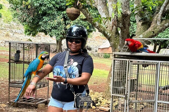 Guided tours, sightseeing trips, transport and excursions - FAQ