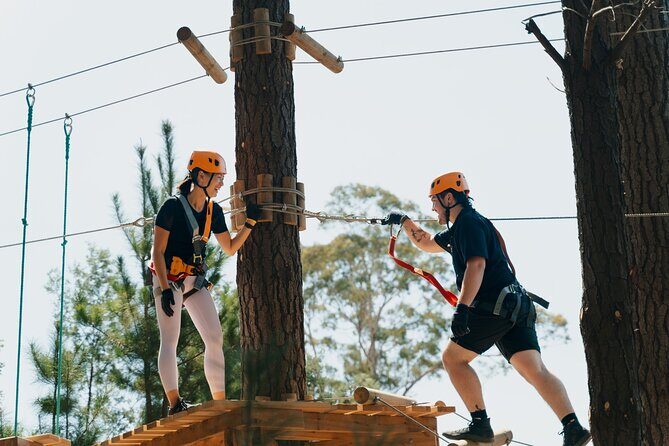 Guided Tree Ropes Course Experience in Majura Pines - Who Should Consider This Experience?