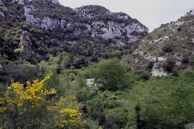 Guided Trekking to Cavagrande del Cassibile in Sicily - Who Should Consider This Tour?