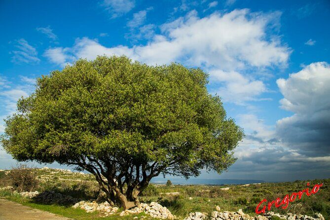 Guided Trekking to Cavagrande del Cassibile in Sicily - Final Thoughts