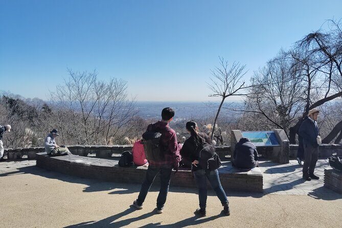 Guided Trip to Mount Takao Train Journey from Shinjuku - The Sum Up