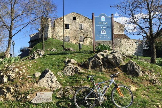 Guided Truffle Hunt Istria - An In-Depth Look at the Truffle Hunt Experience