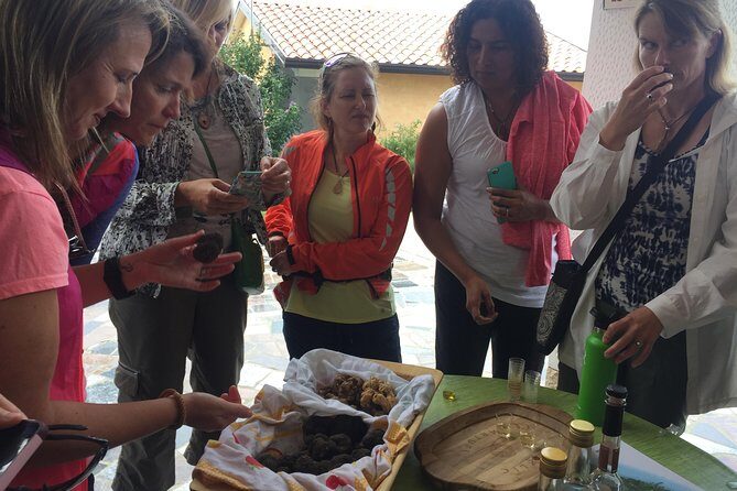 Guided Truffle Hunt Istria - The Sum Up: Is It Worth It?