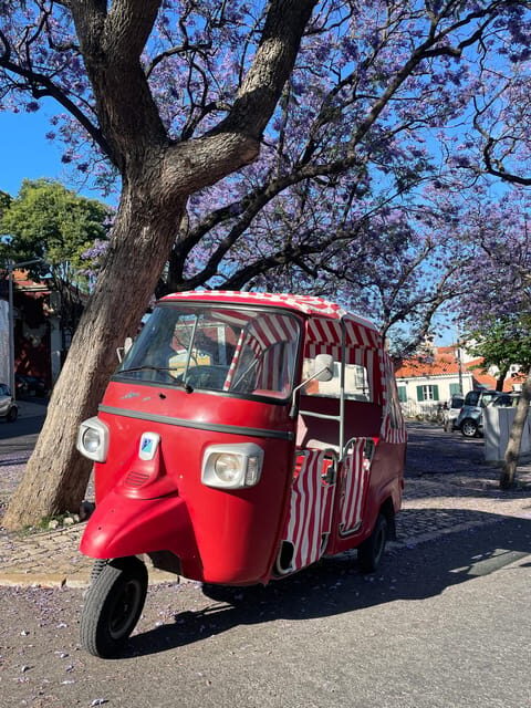 Guided tuk tuk tour in Lisbon's old neighborhoods - Deep Dive into the Experience