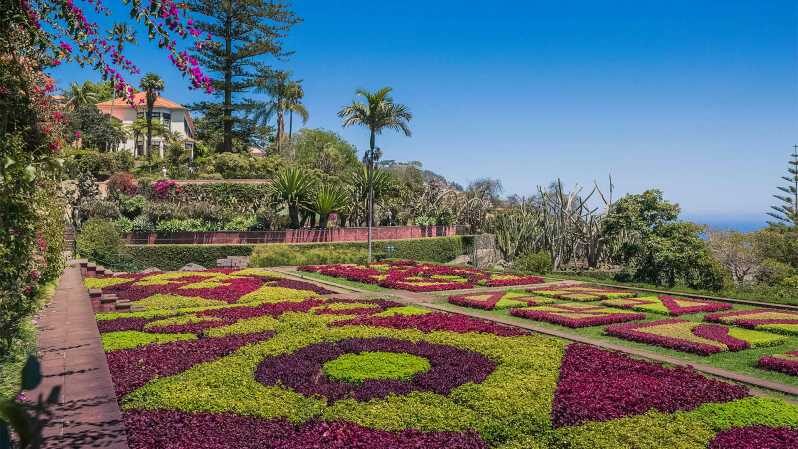 Guided Tuk-Tuk Tour to Botanical Garden (From Funchal) - An In-Depth Look at the Tuk-Tuk Tour in Madeira