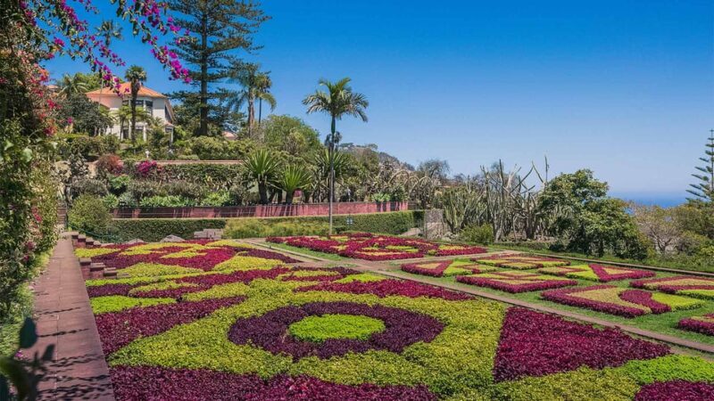 Guided Tuk-Tuk Tour to Botanical Garden (From Funchal) - FAQ: Your Practical Questions Answered