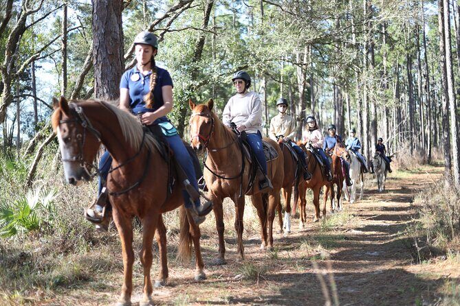 Guided Two Hour Horseback Trail Ride in Central Florida - Discover Central Florida on Horseback: A Two-Hour Trail Adventure