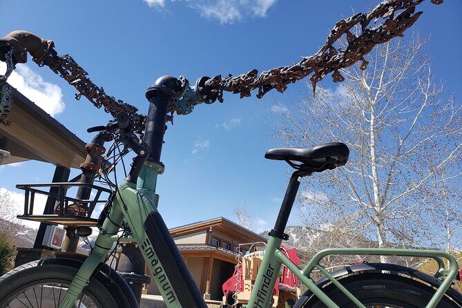 Guided Urban Art and Historical E-Bike Tour in Park City - The Experience: What Travelers Are Saying