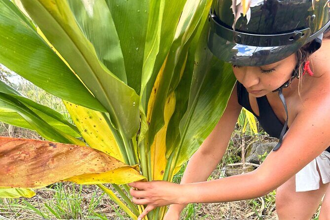 Guided UTV Ride-Along Tour on the Big Island - An In-Depth Look at the Guided UTV Tour